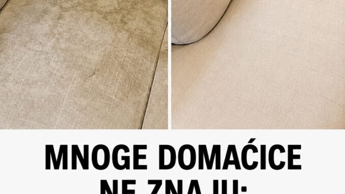 3fad4773-45ee-404d-a34f-ac65d139e285