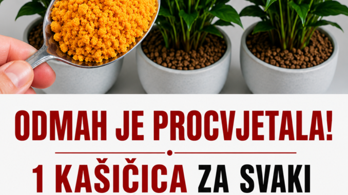 cc1d4d8a-3cf7-40ce-b1f3-b2455000ef93