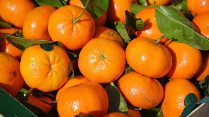 clementines-318210_1280-768x512