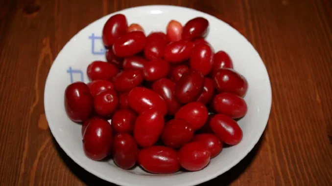 слика_2023-03-23_135509561.png