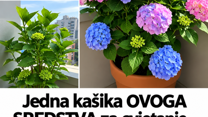 434db4c9-553c-49d9-9990-f22d7521a3d9