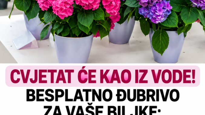 44567ad7-7e6f-4791-b8b7-1c78fc6683bb