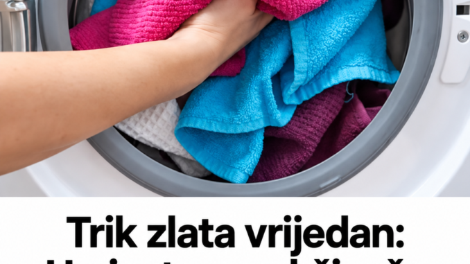 4ee7b67e-b5ad-4300-a99b-3daaf4013781