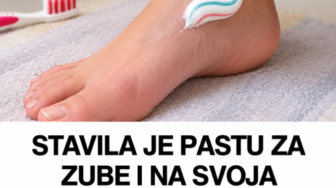 77c34b56-e623-4175-8f47-e81ae678f2ef