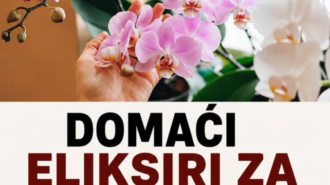 d42071d1-a57d-444f-b567-ad4f06ea6e5a
