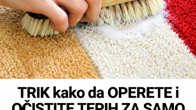e456944e-2017-4461-8708-d8d11deea0fe