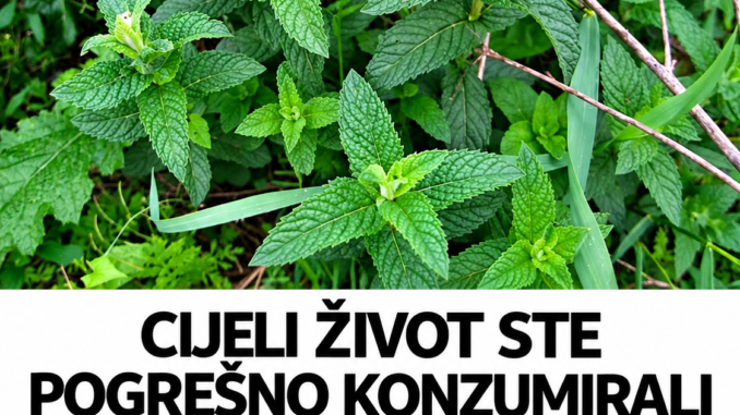 02864577-5054-46ff-90c2-9c1a130d6f8e