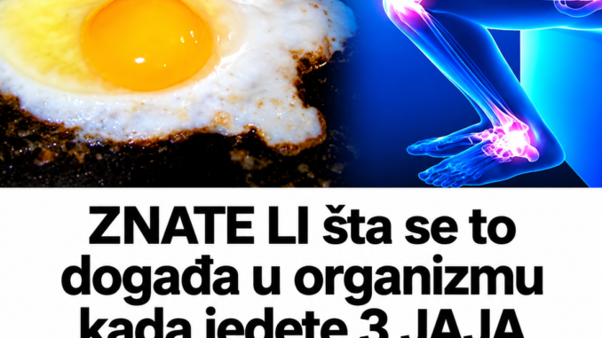032cd297-c2f2-49a0-8f30-82492b3fb7d8