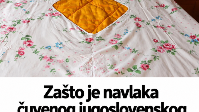 0ee910ad-ab85-4f2d-9ba8-03811588260a