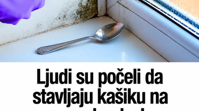 26e6c9b9-6465-44ee-8096-be17969ca4cf