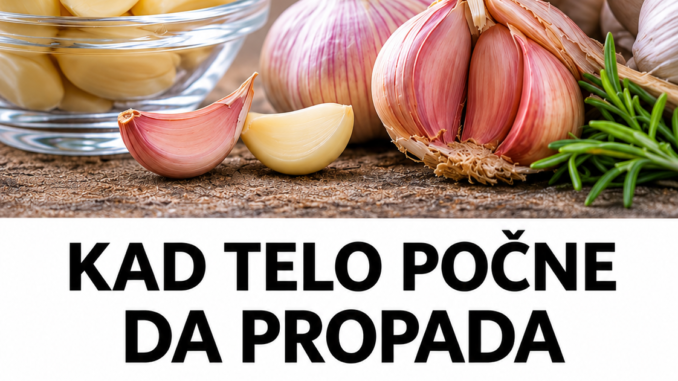 29e52eab-4e93-4289-ad77-59921f5d1aa7
