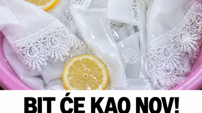 476aa9bb-6f1d-479a-b65f-e0f0d55c08a9