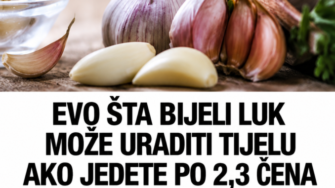 688809c3-e222-471f-a30f-7789e3e70a8d
