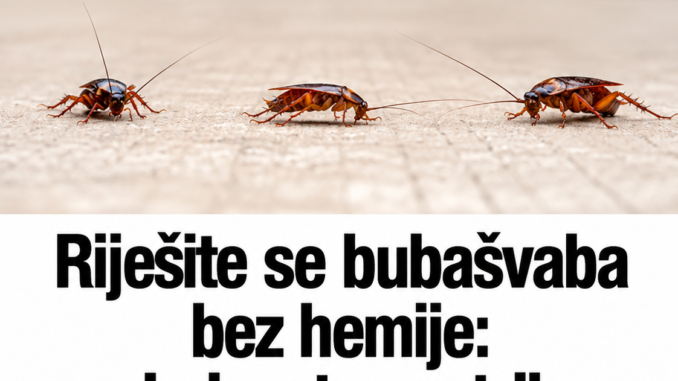 c65d4907-3d39-4a56-9d20-3b0140bf8761