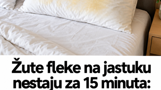 d3a4d33f-b70c-4ad5-8a07-b9a4a8d343f9