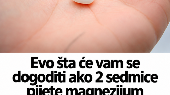 e0e97bc2-4035-4f25-8ca8-cfaa61e723a4