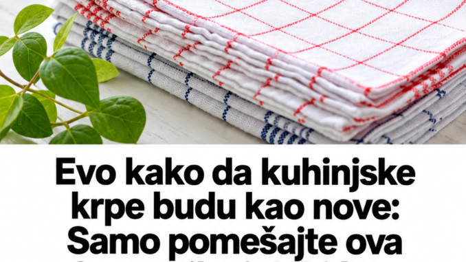 e4ce5c59-bf9d-423e-9a78-96266c819dee
