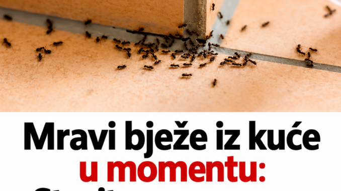 f051e810-ab26-405e-be21-4a61e8d6a665