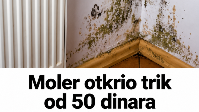 file_000000005a6881f4a5e2497f532a48c1
